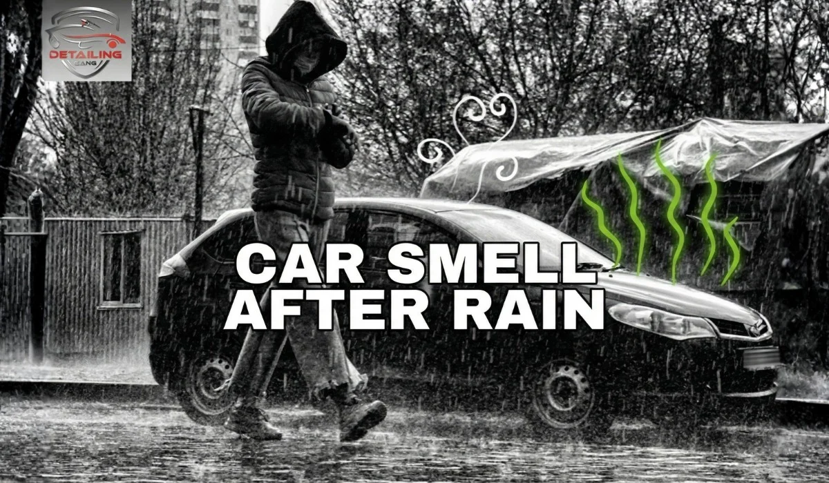 How to Get Rid of Car Smell After Rain: Top Rainwater Treatment Tips