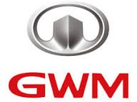 Car detailing, car coating, and PPF services for Great Wall Motor Company Limited by The Detailing Gang