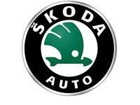 Car detailing, car coating, and PPF services for SKODA by The Detailing Gang