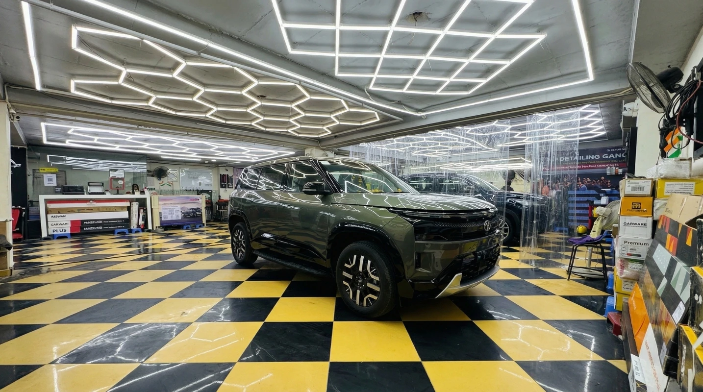 The Detailingdddd Gang